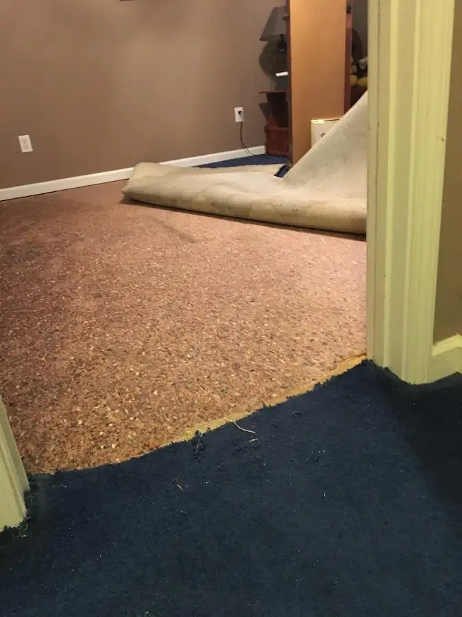 Carpet pad removal revealing water damage during Water Mitigation Services in Posen