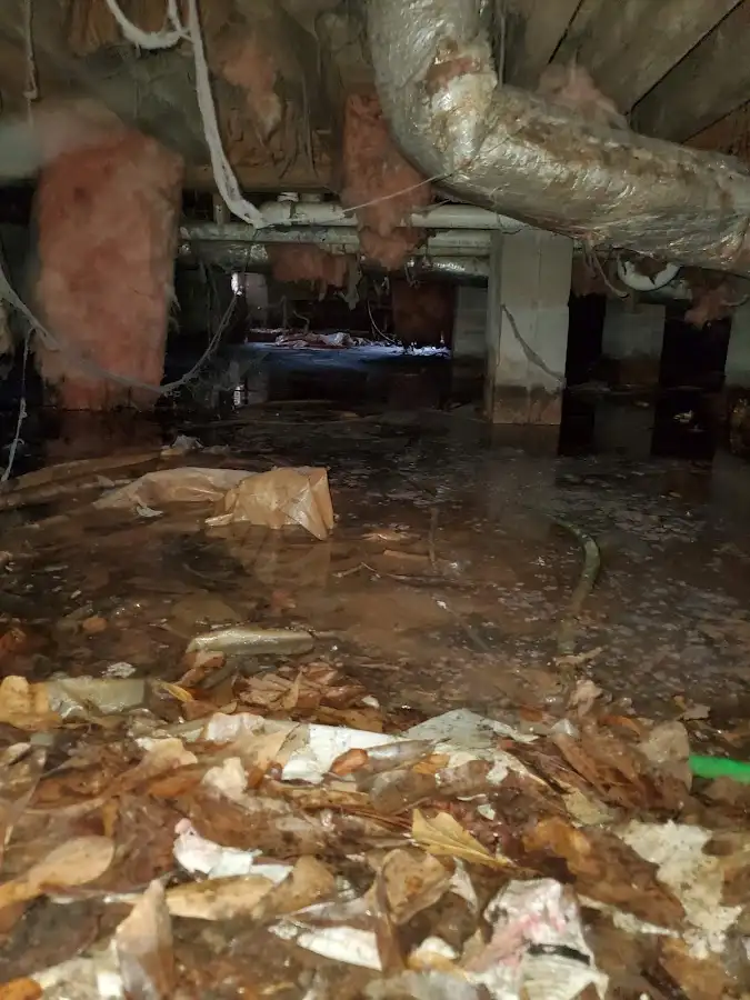 Crawl space flood assessment for Leak Detection & Repair in Posen